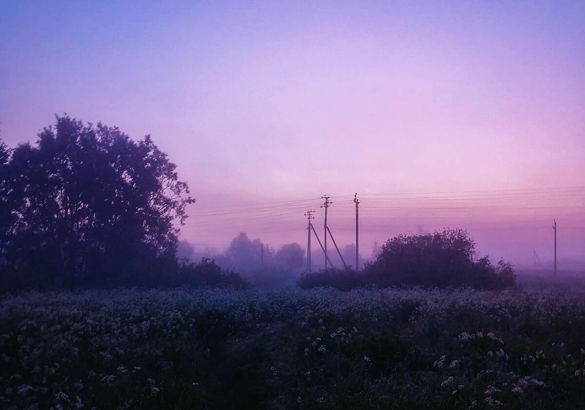 是否回国家队打球？樊振东：未来的事情不用想太多，先做好眼前